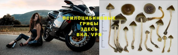гидропоника Нея