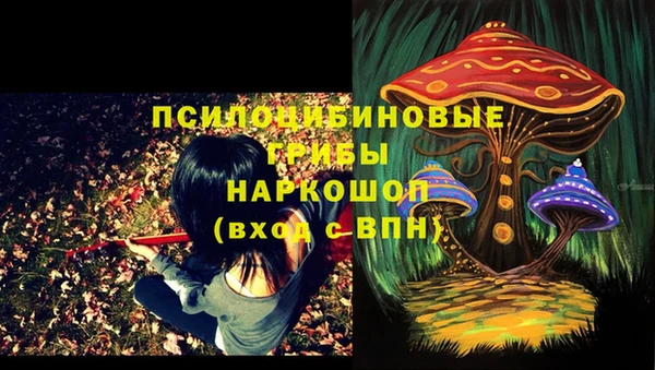 Альфа ПВП Нефтегорск