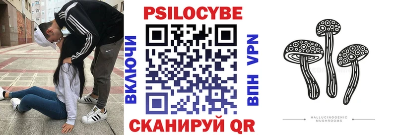 Купить закладки  Новоаннинский  Галлюциногенные грибы прущие грибы 